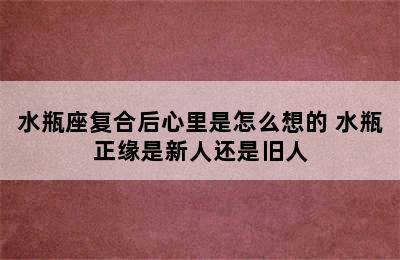 水瓶座复合后心里是怎么想的 水瓶正缘是新人还是旧人